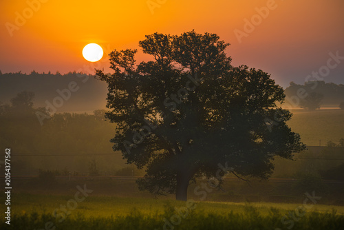 Sunrise in Hertfordshire, England