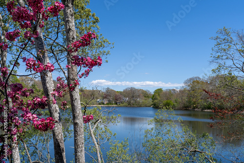 view of Shivericks Pond from Katharine Lee Bates Rd in Falmouth, Massachusetts