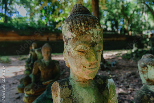 Photography Ancient stone Buddha statues covered in moss stand in a row at Wat Umong temple in Chiang Mai, Thailand, evoking a sense of peace and history