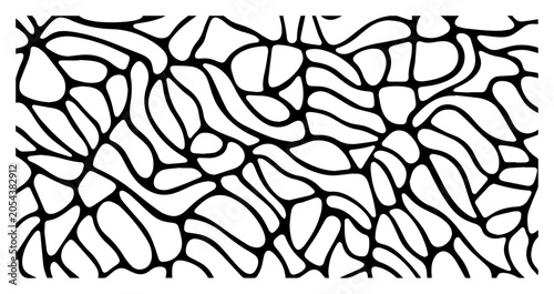 Bild auf Leinwand Cellular organic pattern abstract background with network of lines