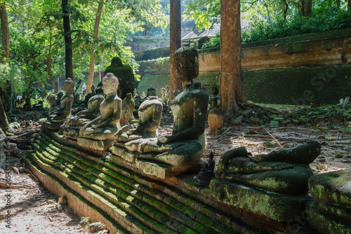 Картината върху платно Ancient moss-covered Buddha statues lie scattered in a jungle clearing in Wat Umong Chiang Mai, Thailand