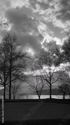 Vertical format of a slow-motion video of lakeside, featuring trees, sky, and sun ray peaking out from behind the clouds