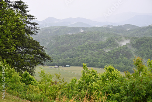 Rainy Day in the Smoky Mountains