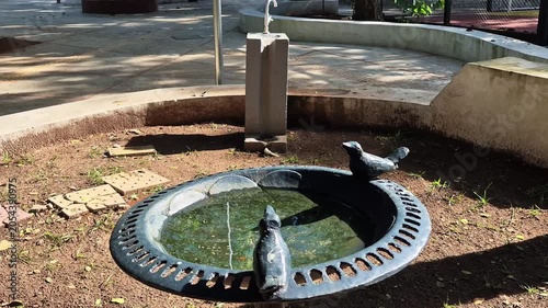 Ornamental cast iron bird bath with sculpted figures in sunny public park