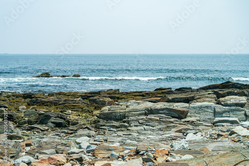 Landscape of Peaks Island in Maine
