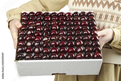 Schilderij op canvas Fresh Imported Chilean Cherries from Yantai in Display Box - Premium Early Seaso