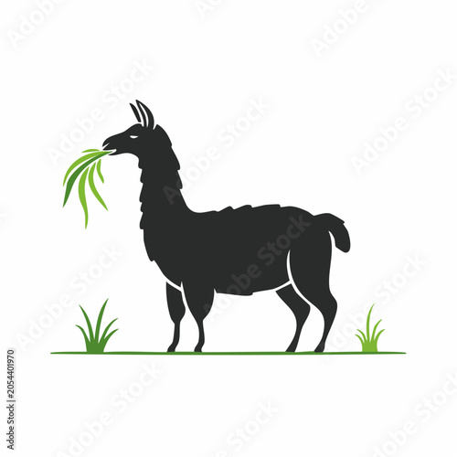 Silhouette of a llama eating grass