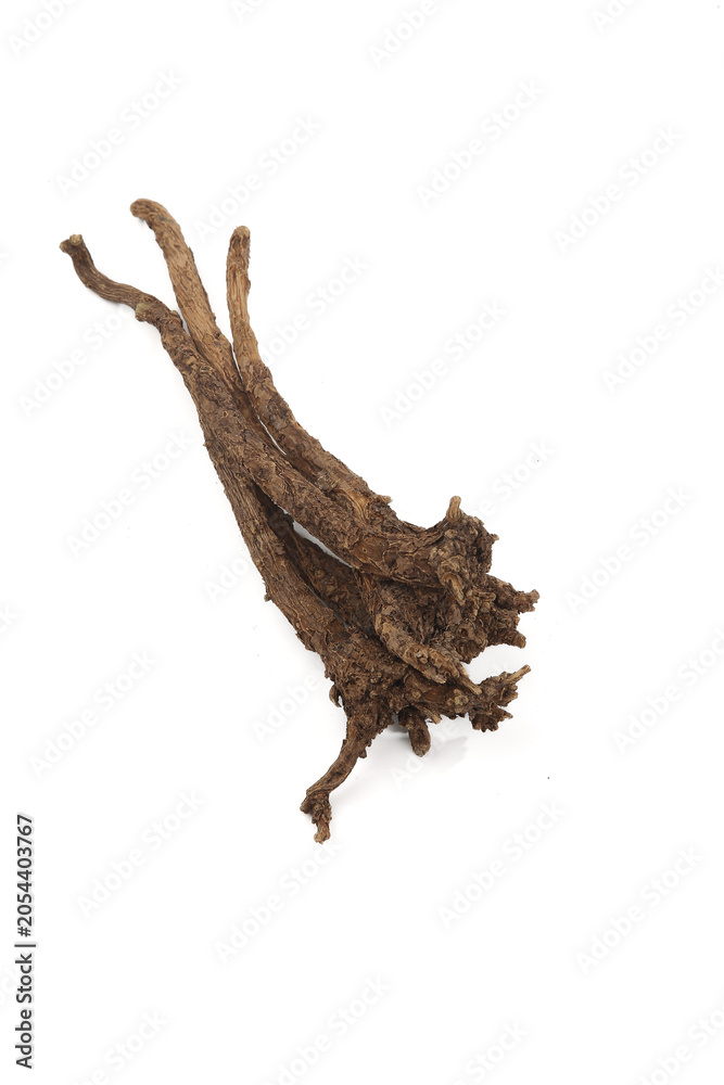Fototapeta premium Dried Scutellaria Baicalensis Root for Traditional Chinese Medicine Herbal Preparation