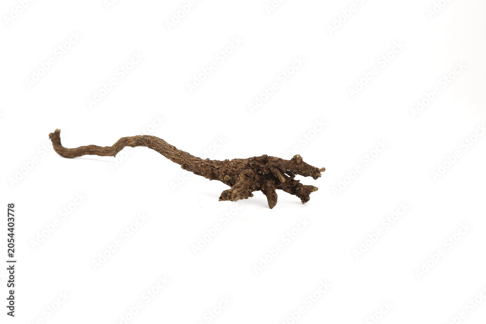 Obraz premium Dried Scutellaria Baicalensis Root - Traditional Chinese Medicinal Herb on White Background