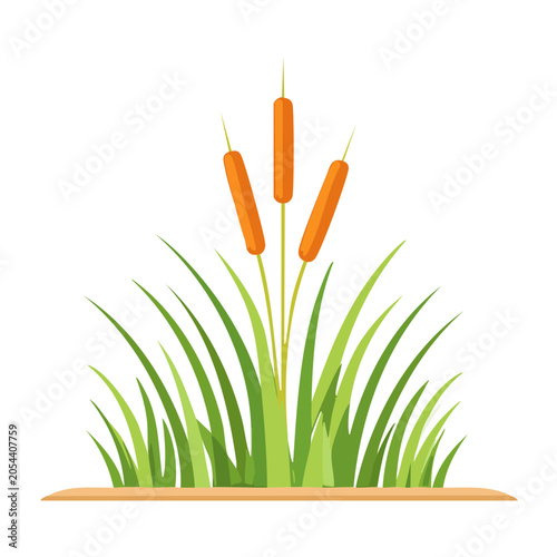 Cattails Flat Vector Illustration