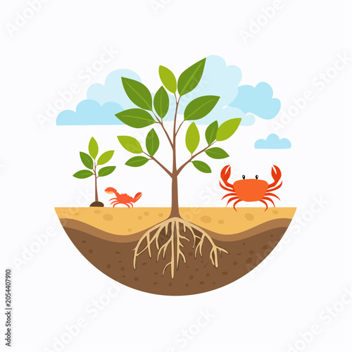 Mangrove Ecosystem with Crabs and Sapling