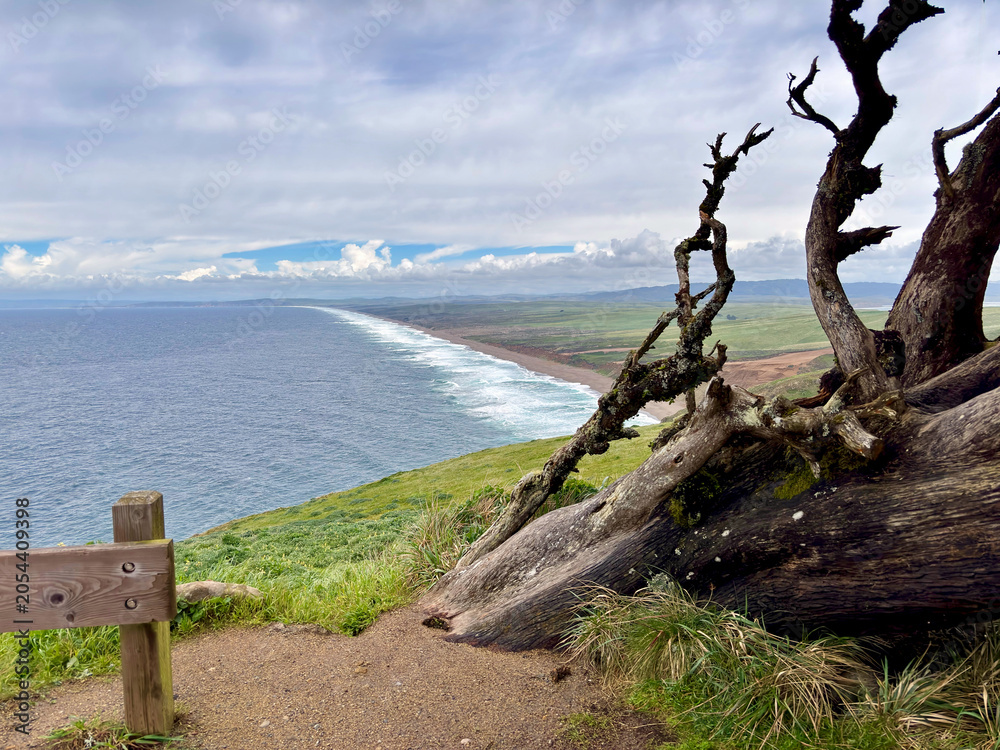 Fototapeta premium The coastal landscape of Point Reyes National Seashore from vantage points in California