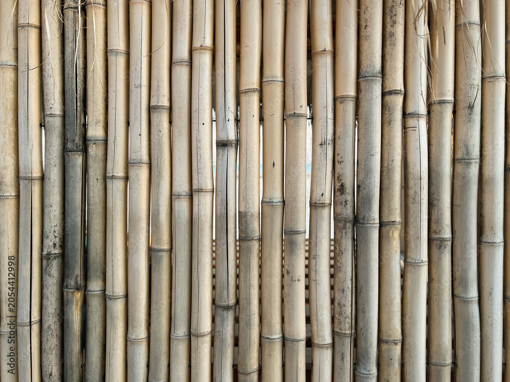 Fototapeta premium Bamboo Fence Texture Natural Vertical Wood Background
