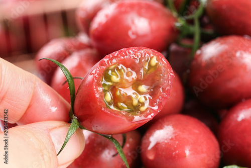 Fotografi Fresh Red Tomato with Seeds Displayed in Hand, Fujian Harvest