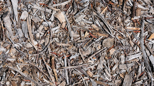 Tableau sur toile Forest Floor Detritus Texture Background