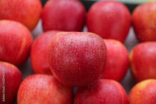 Принти на полотні Fresh Red Apples with Water Droplets - Healthy Fruit Background