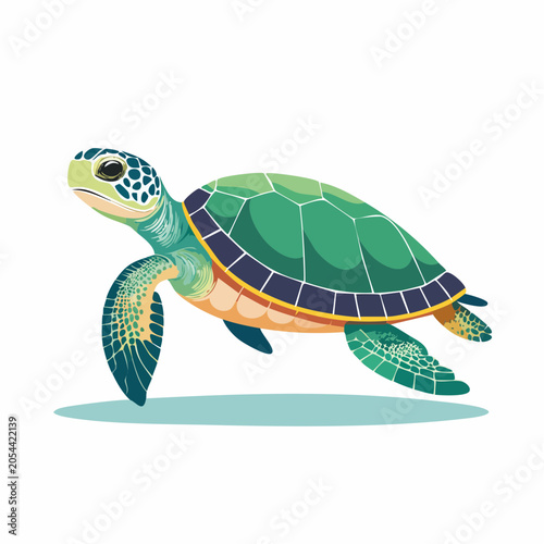 Green Sea Turtle Illustration