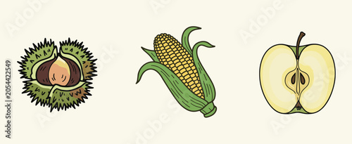 Φωτογραφία Hand drawn of a chestnut in its spiky husk a corn cob and a halved apple
