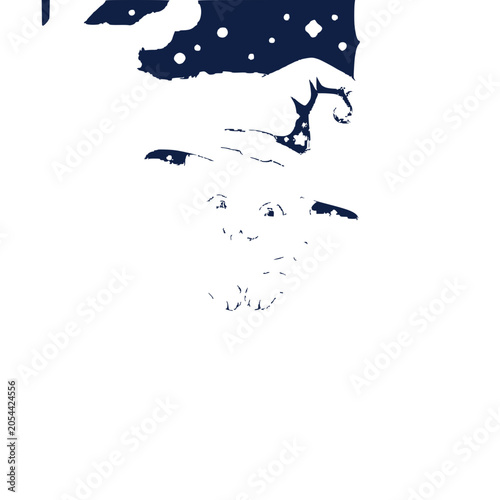 Wise old wizard with pointy hat and stars, fantasy character illustration