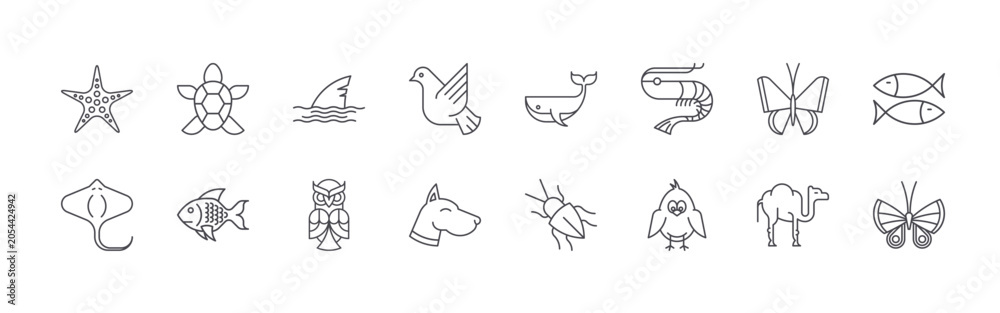 Fototapeta premium Modern set of 16 thin outline Animals icons. Vector signs such as sea star, stingray, turtle, fish, fin isolated on white
