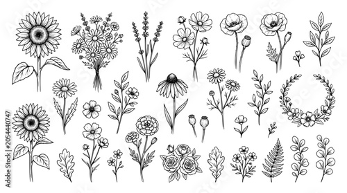 Set of hand drawn flowers and leaves