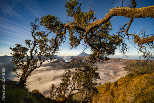 Amazing Mount Bromo volcano during sunrise from king kong viewpoint on Mountain Penanjakan in Bromo Tengger Semeru National Park,East Java,Indonesia.Nature landscape background