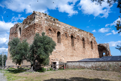 Bild auf Leinwand Medieval brick ruins and olive tree at Scolacium Park, Calabria