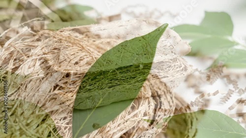 Bio based composite material and packaging box with natural fiber, leaf texture, green leaves, and paper filler for eco friendly