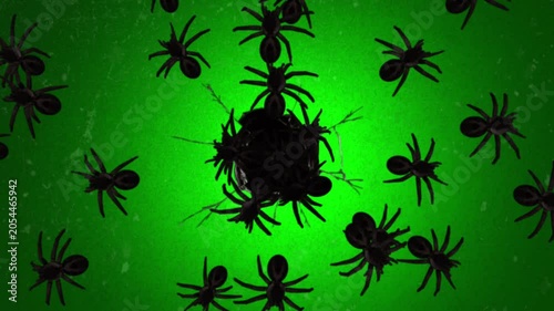 Creepy black spiders crawling out of a hole on a textured green background, horror animation