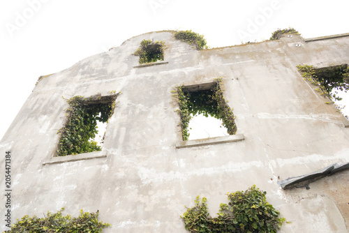 Photos Old buildings overgrown with vines on Alcatraz Island