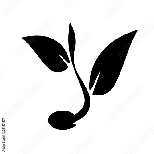 Growing sprout