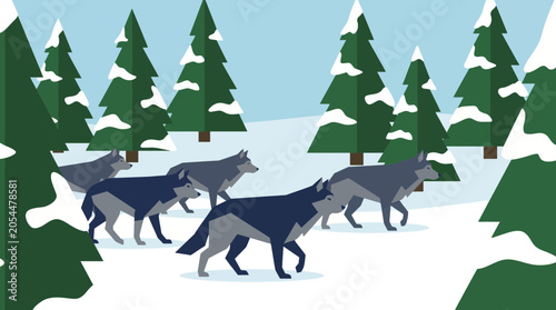 Fotografi Wolf Pack in Snowy Pine Forest Habitat