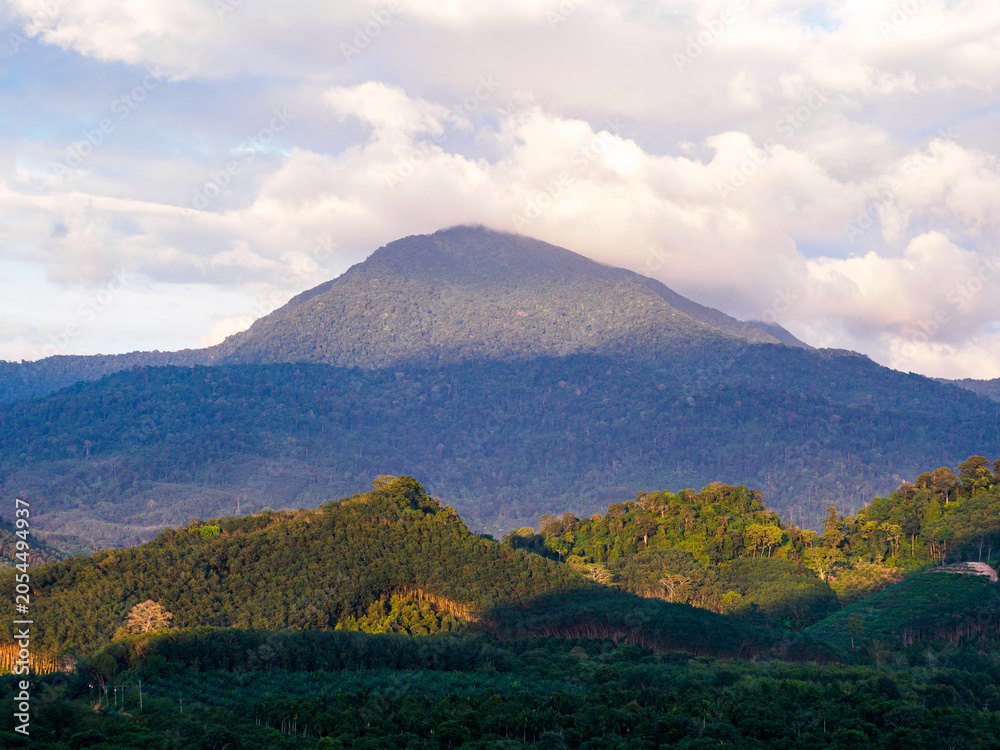Obraz premium Beautiful grassland landscapes found in rural Thailand.