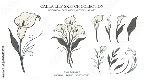 Tableau sur toile Calla lily botanical sketches with elegant floral line art elements