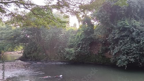 Scenic wide view of a flowing natural river surrounded by dense green forest trees and foliage