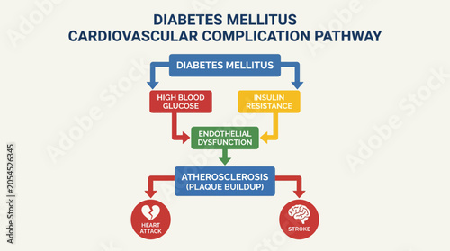 Foto Diabetes Mellitus Cardiovascular Complication Pathway Diagram