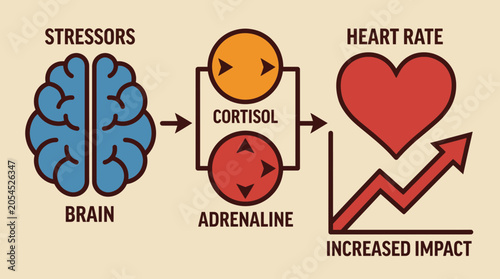 Foto Stress Hormones Cortisol Adrenaline Heart Rate Impact Illustration