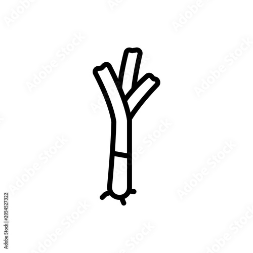 Clean line icon of a leek with long leaves and simple stalk shape. Ideal for vegetable collections, kitchen graphics, healthy food themes, and recipe illustrations.