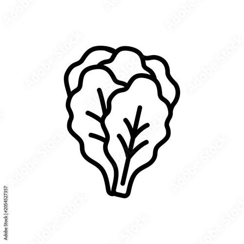 Minimal line icon of cabbage with layered leaf structure. Perfect for vegetable collections, cooking graphics, grocery themes, and natural food illustrations.