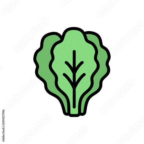 Colored outline icon of green lettuce with layered leaves and fresh tones. Perfect for salad themes, food illustrations, grocery graphics, and healthy lifestyle visuals.