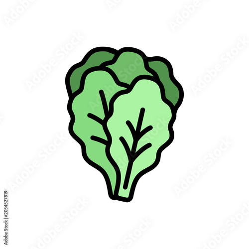 Colored outline icon of green cabbage with detailed leaf layers. Ideal for vegetable themes, cooking graphics, farm designs, and fresh ingredient visuals.