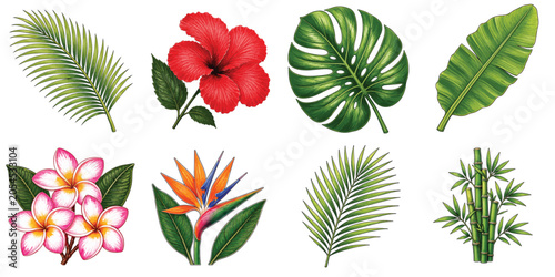 Tropical Island Flora Collection with Palm Tree Banana Leaf Monstera Hibiscus Frangipani Bird of Paradise and Bamboo