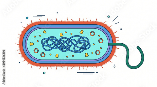 Tableau sur toile Structure of bacteria cell anatomy vector illustration, microbiology and virology science concept