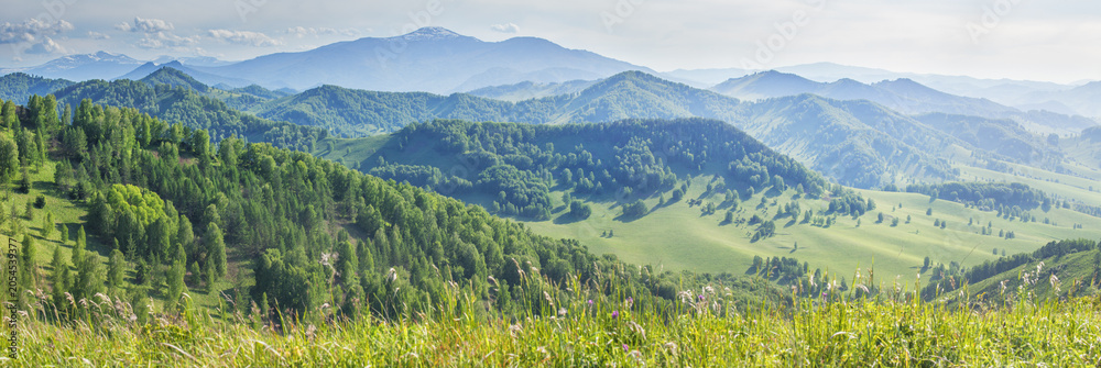 Obraz premium View of the mountain valley, summer greenery, sunny day, panoramic view