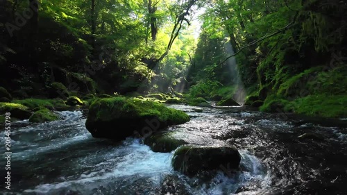 夏でも涼しい菊池渓谷