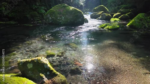 夏でも涼しい菊池渓谷