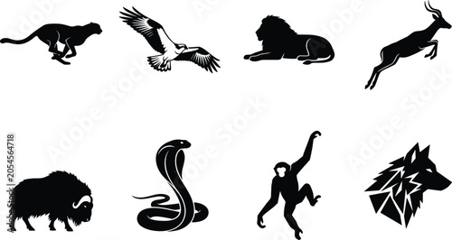 Photography Collection of Wild Animal Silhouettes and Vector Icons Featuring Big Cats Birds