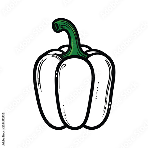 Stylized hand drawn illustration of a white bell pepper vegetable.