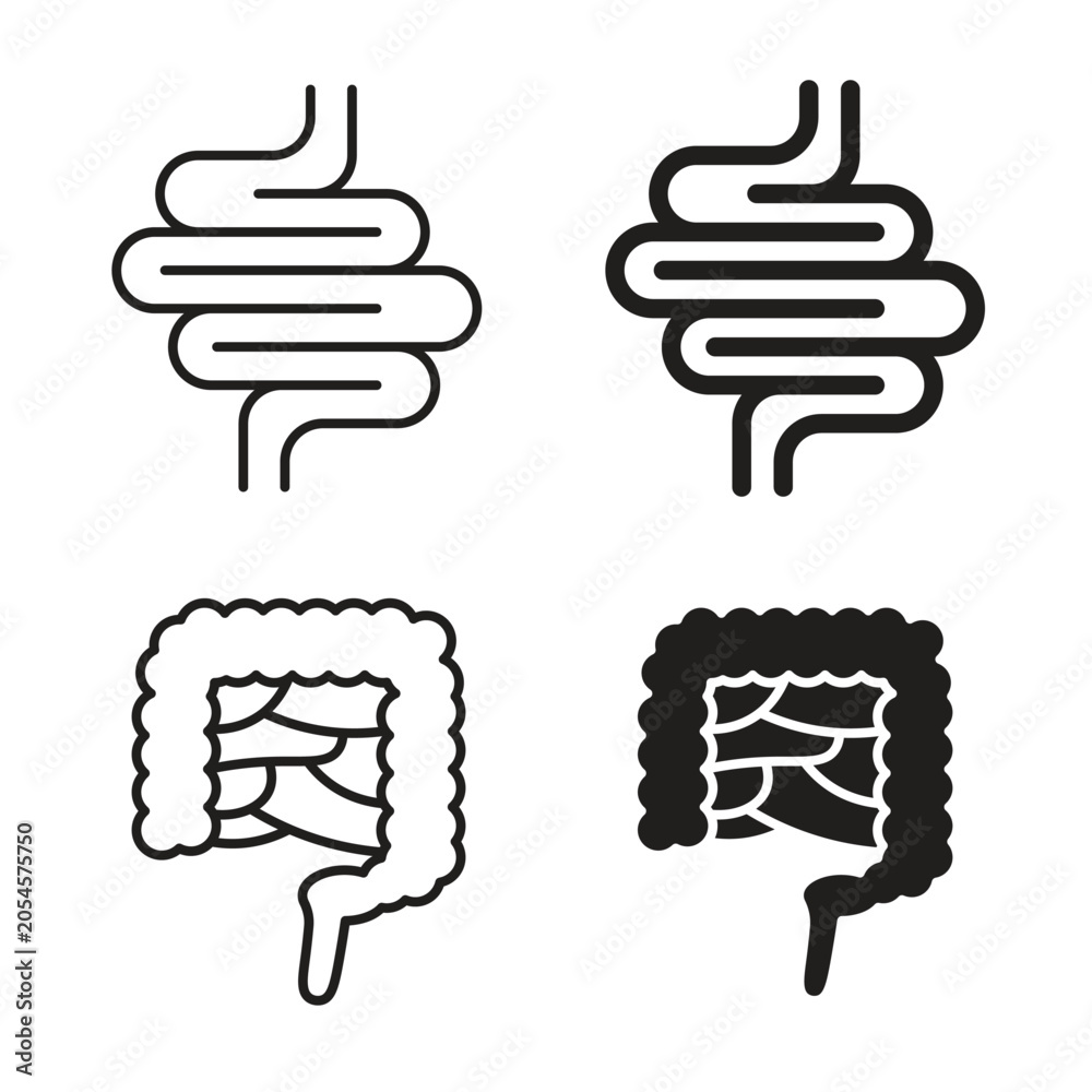 Foto Intestine icon
