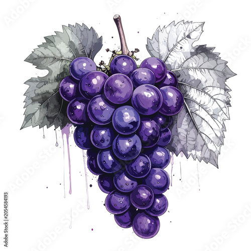 Watercolor illustration of a vibrant bunch of purple grapes.